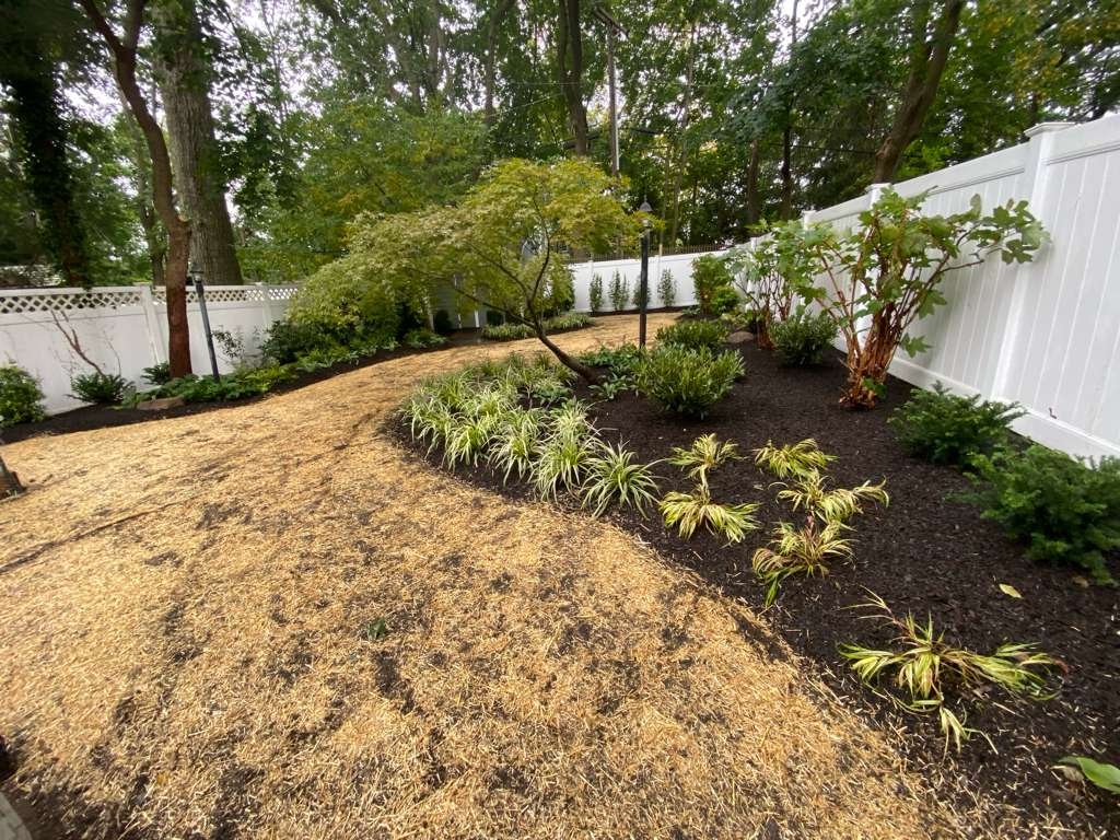 JP Landscaping Work #11