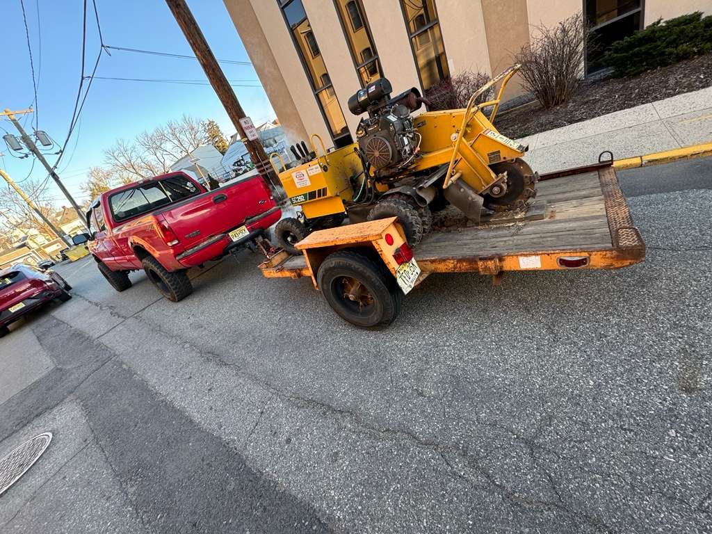 JP Landscaping Work #12