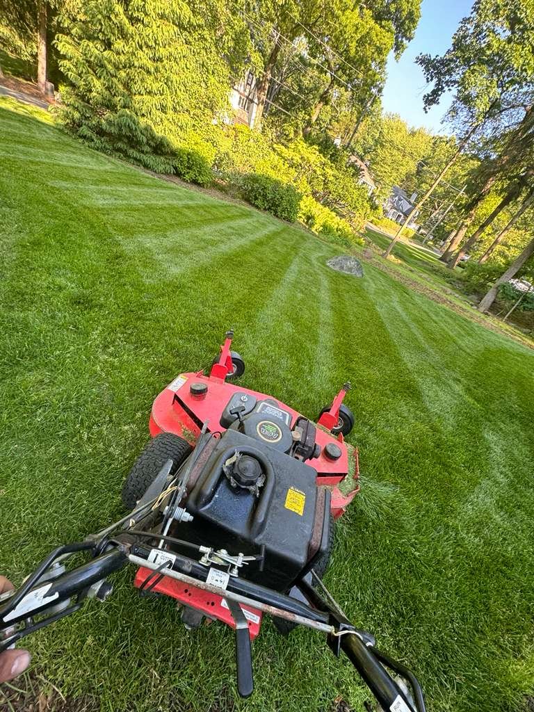 JP Landscaping Work #19