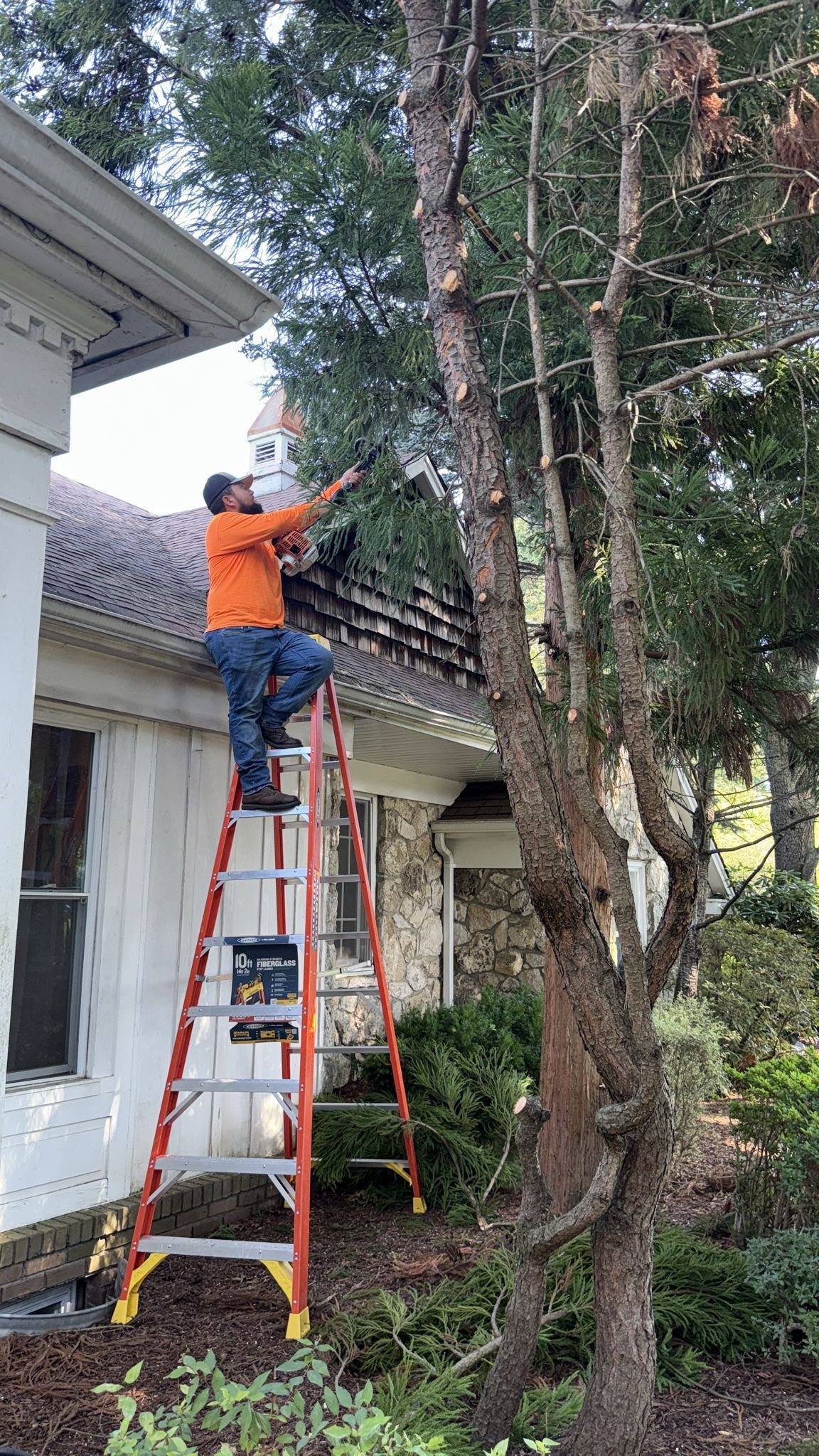 JP Landscaping Work #30