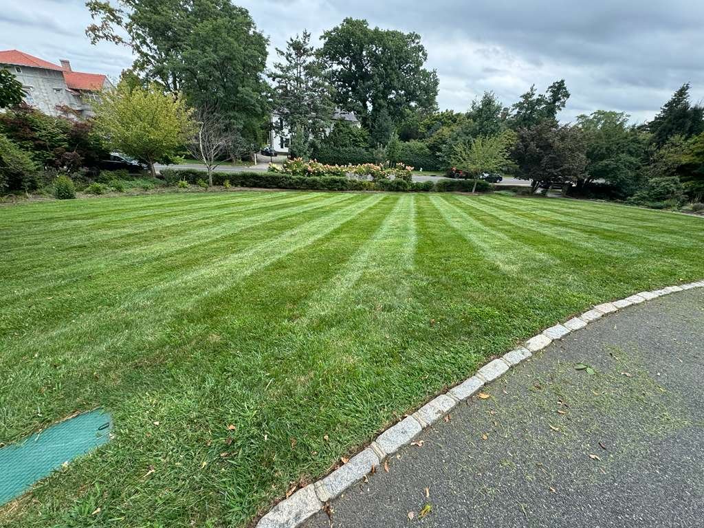 JP Landscaping Work #37