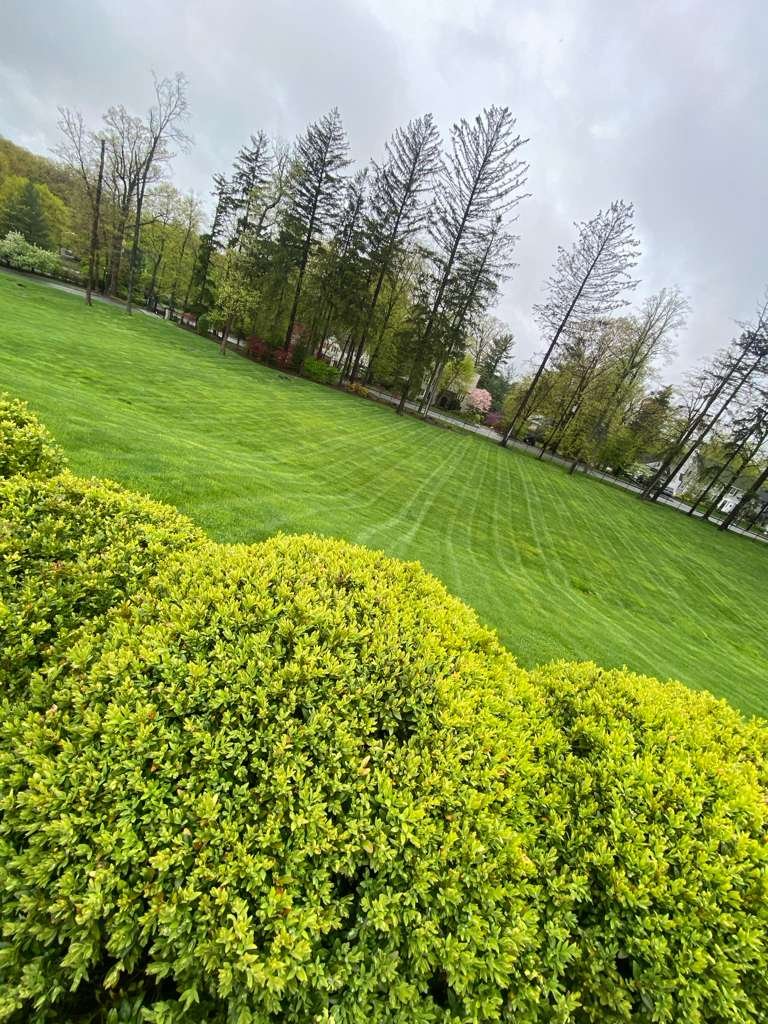 JP Landscaping Work #4