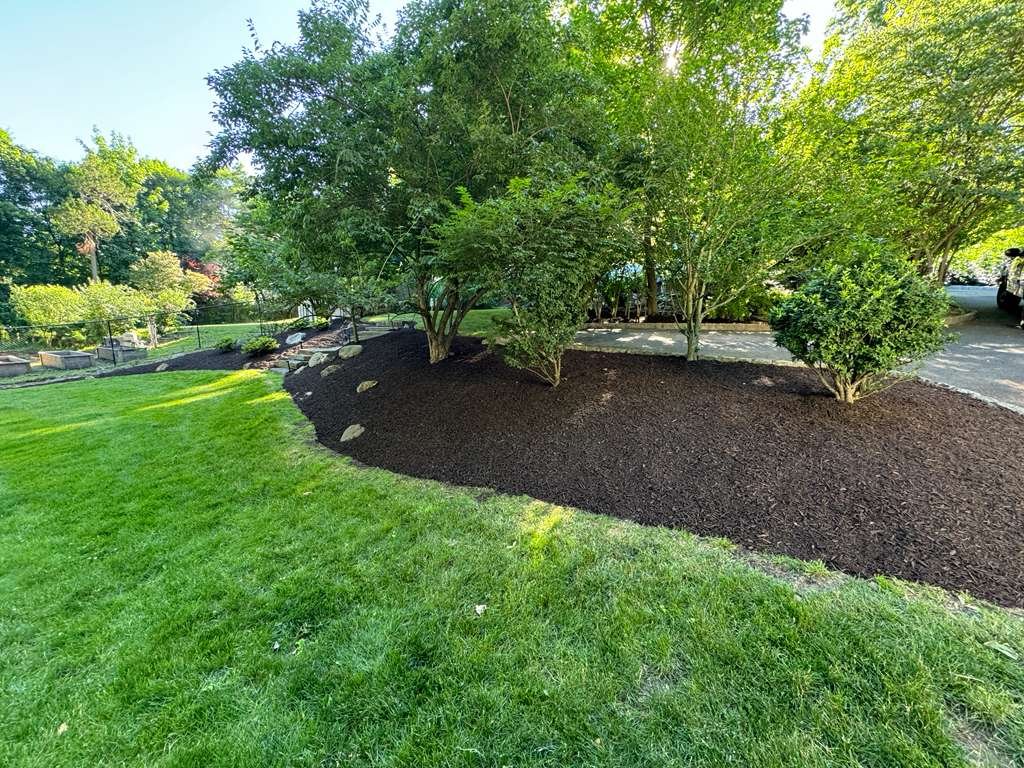 JP Landscaping Work #42