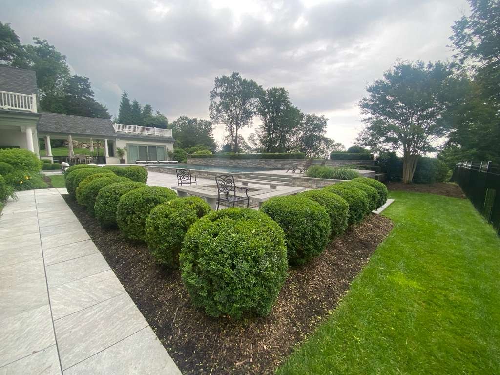 JP Landscaping Work #7